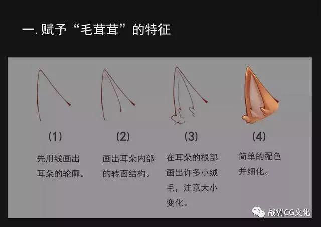 1.先用线画出耳朵的轮廓.2.画出耳朵内部的转面结构.3.