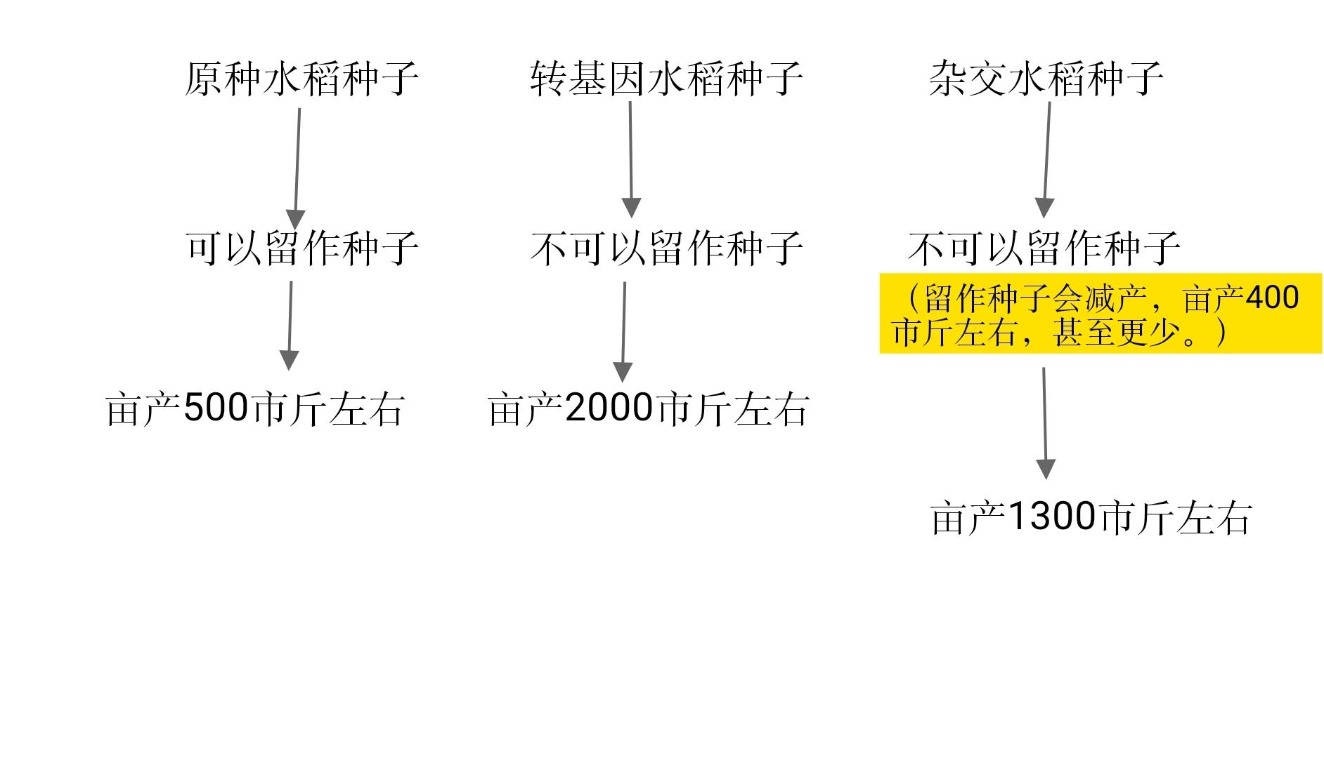 杂交水稻为什么不能留种? - 知乎