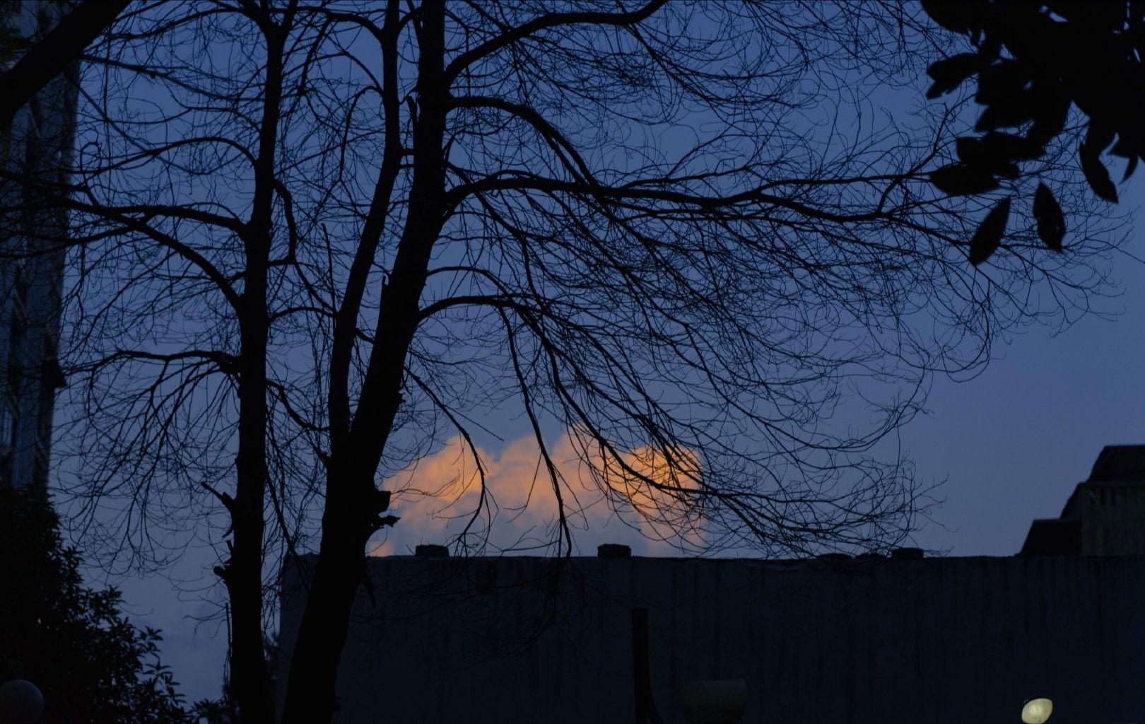 有什么你很喜欢很欲且不俗的壁纸吗