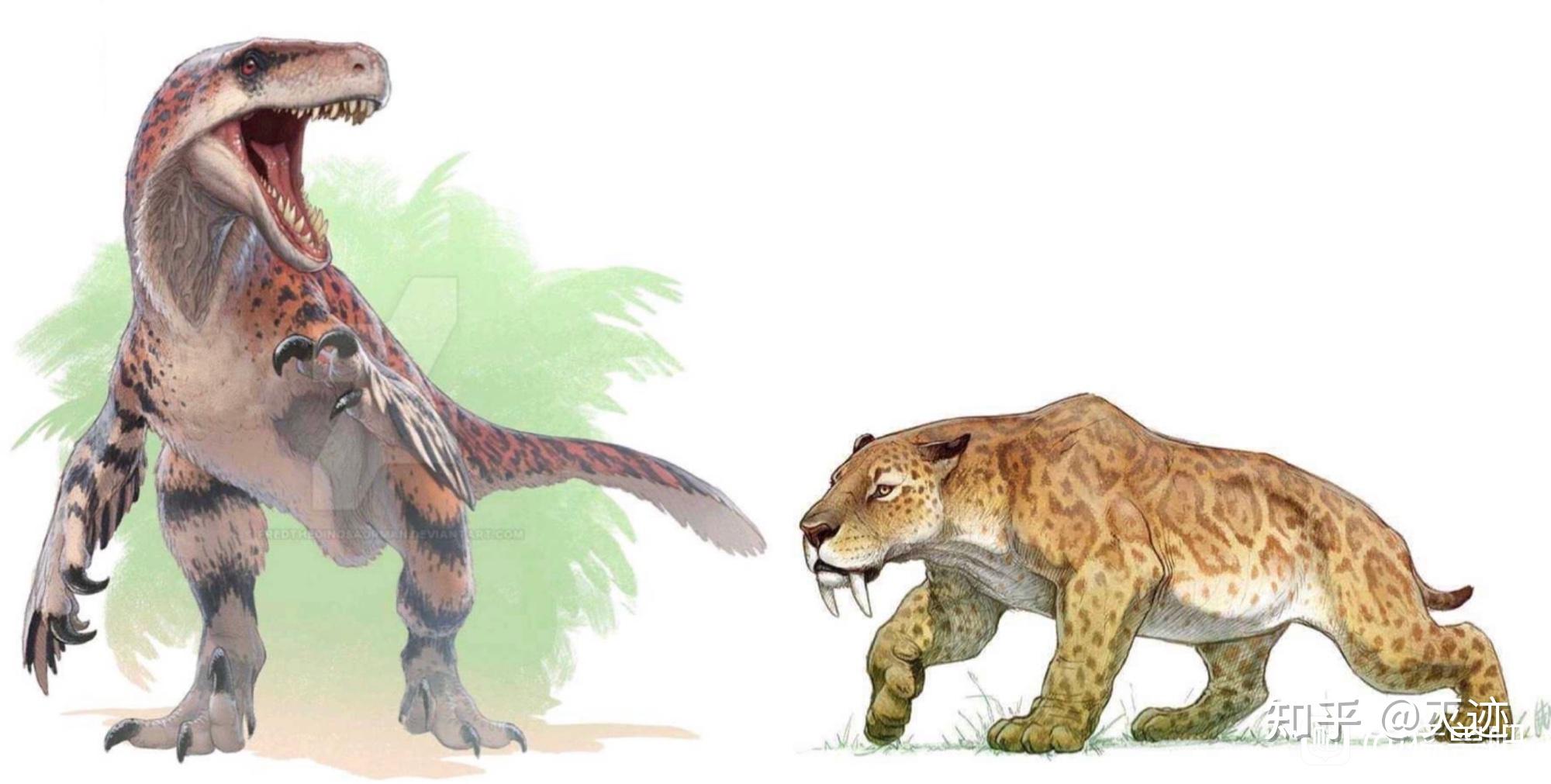 老虎和迅猛龙谁厉害