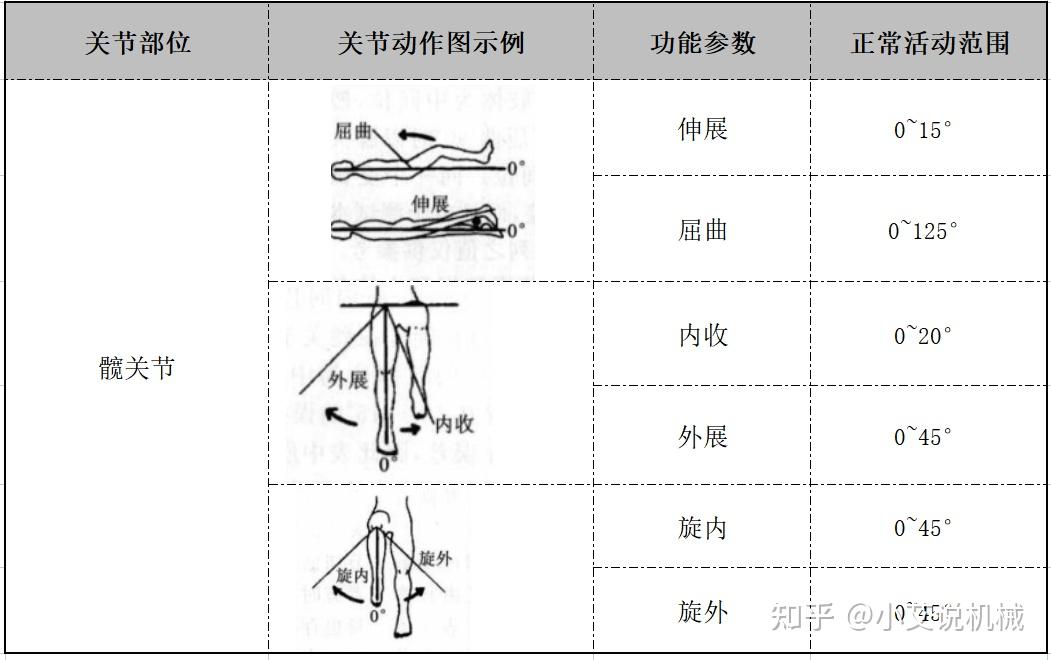 踝关节有哪些关节活动?