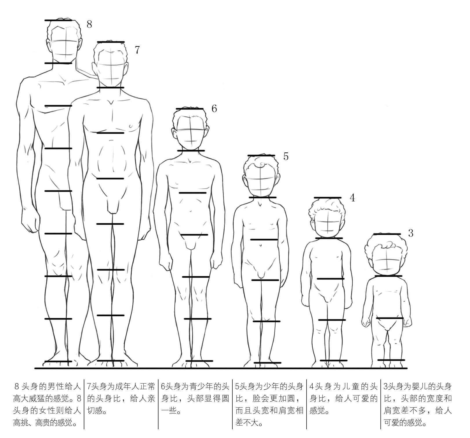 7头身为成年人正常的头身比,给人亲切感