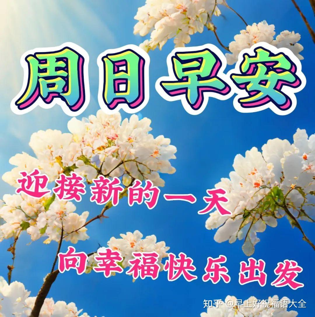 周日早上好，温馨暖心早安祝福图片语问候语 - 知乎