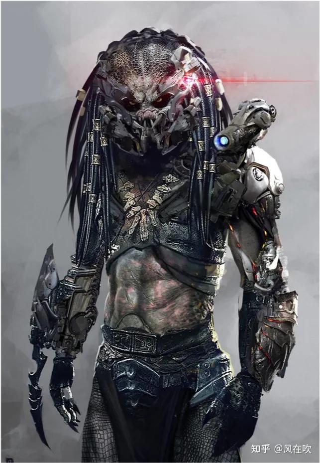 如何评价电影铁血战士猎物