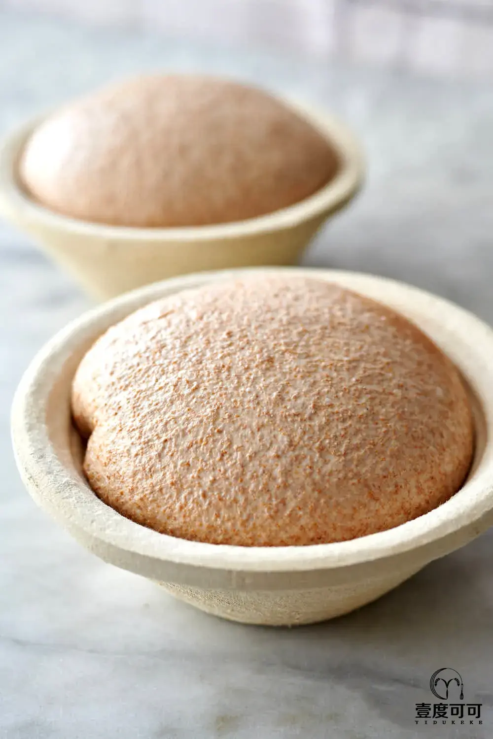 喜欢酸面包的不可错过美式免揉全麦酵母面包制作