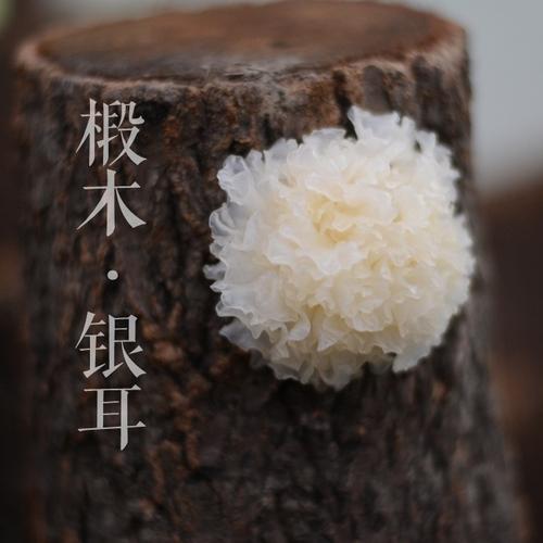 v2-b4cfa00d397a3df69f2d6db0aaeb4ced_1440w.jpg?source=172ae18b