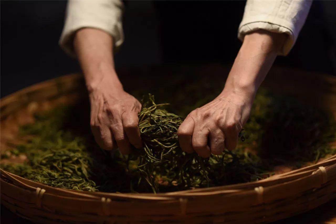 普洱茶揉捻工艺