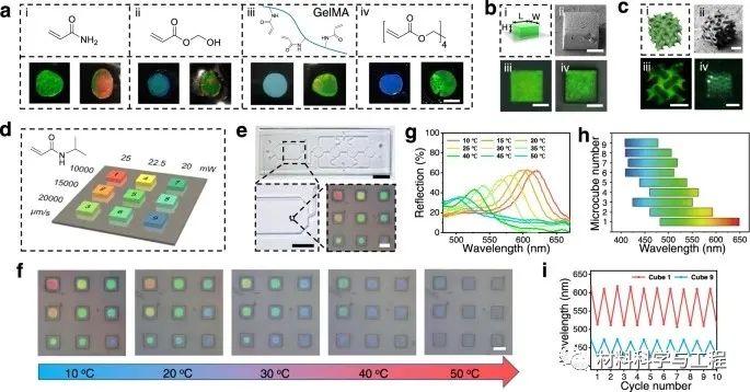 东南大学《Nature》子刊：双光子光刻技术3D打印胶体晶体微结构！ - 知乎
