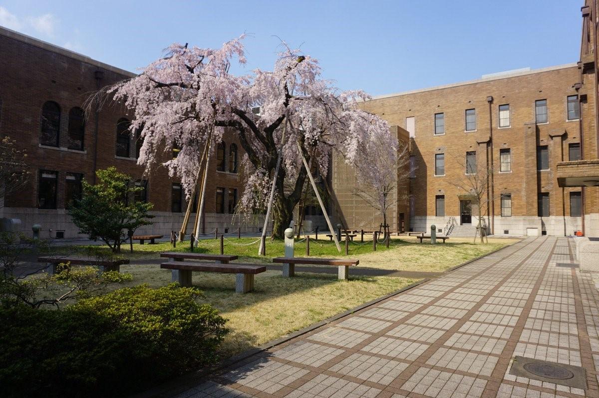 1875年设立的日本首座女性高等教育学府,当时叫做"东京女子师范学校"