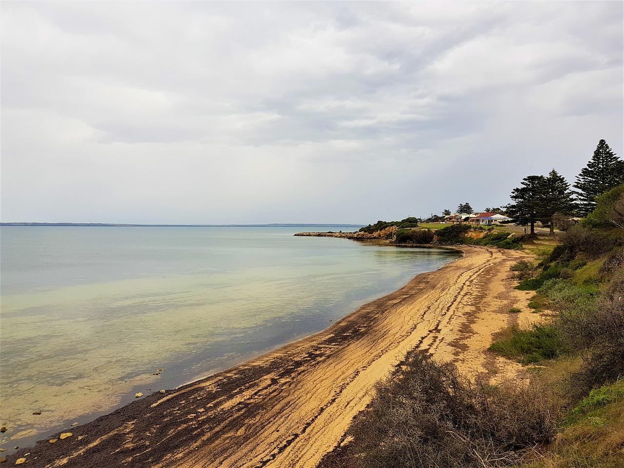 4. 海滨住宅新区