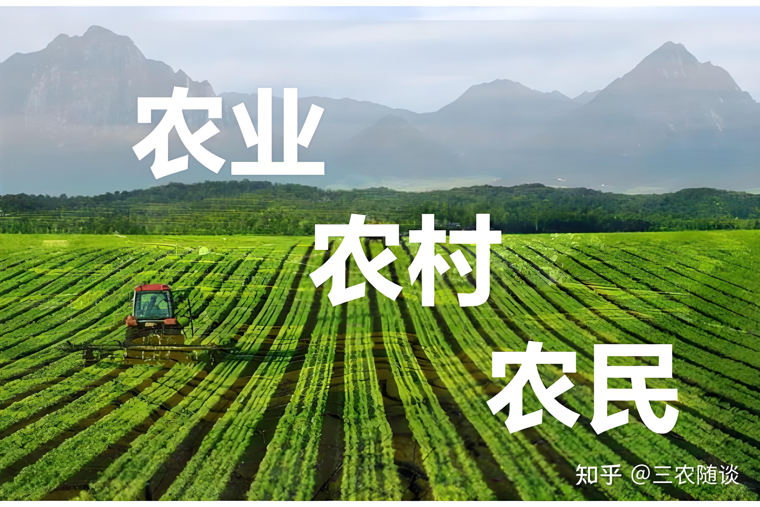 农村创业50个项目(农村创业50个项目创业项目推荐)