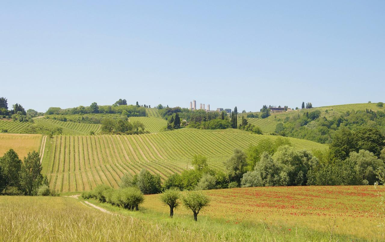 辽阳托斯卡纳售价