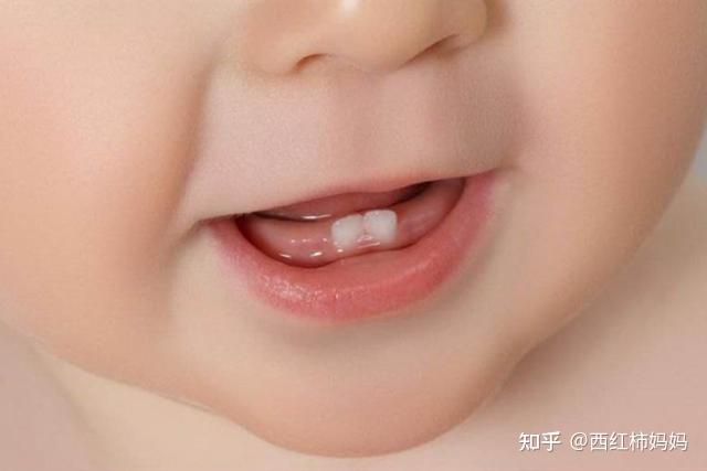 适合幼儿咬的牙胶来安抚安抚他,孩子通过咬牙胶,牙床就会舒服一点了