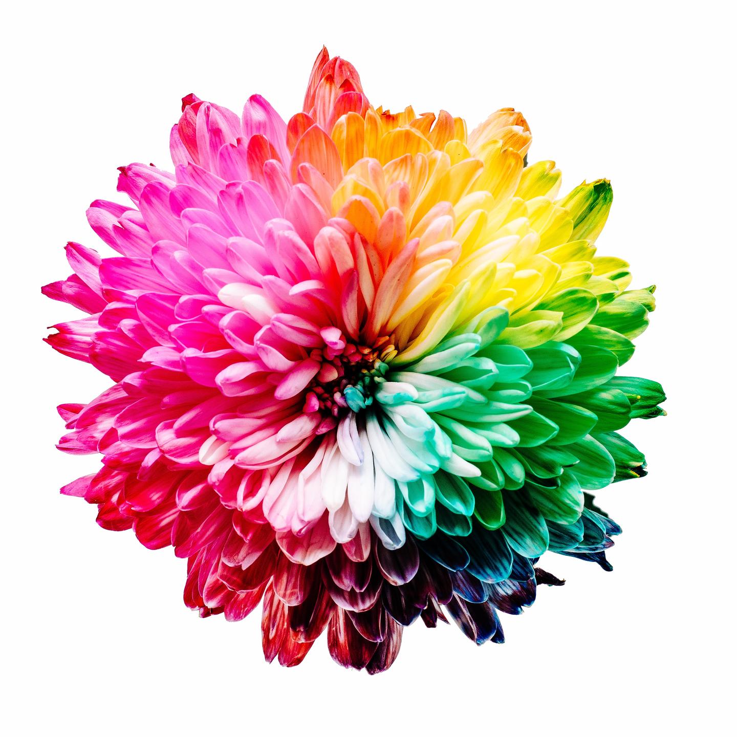 翻译 快速选择调色板 Color Palette 的方法 知乎 翻译 快速选择调色板 Color Palette 的方法 知乎