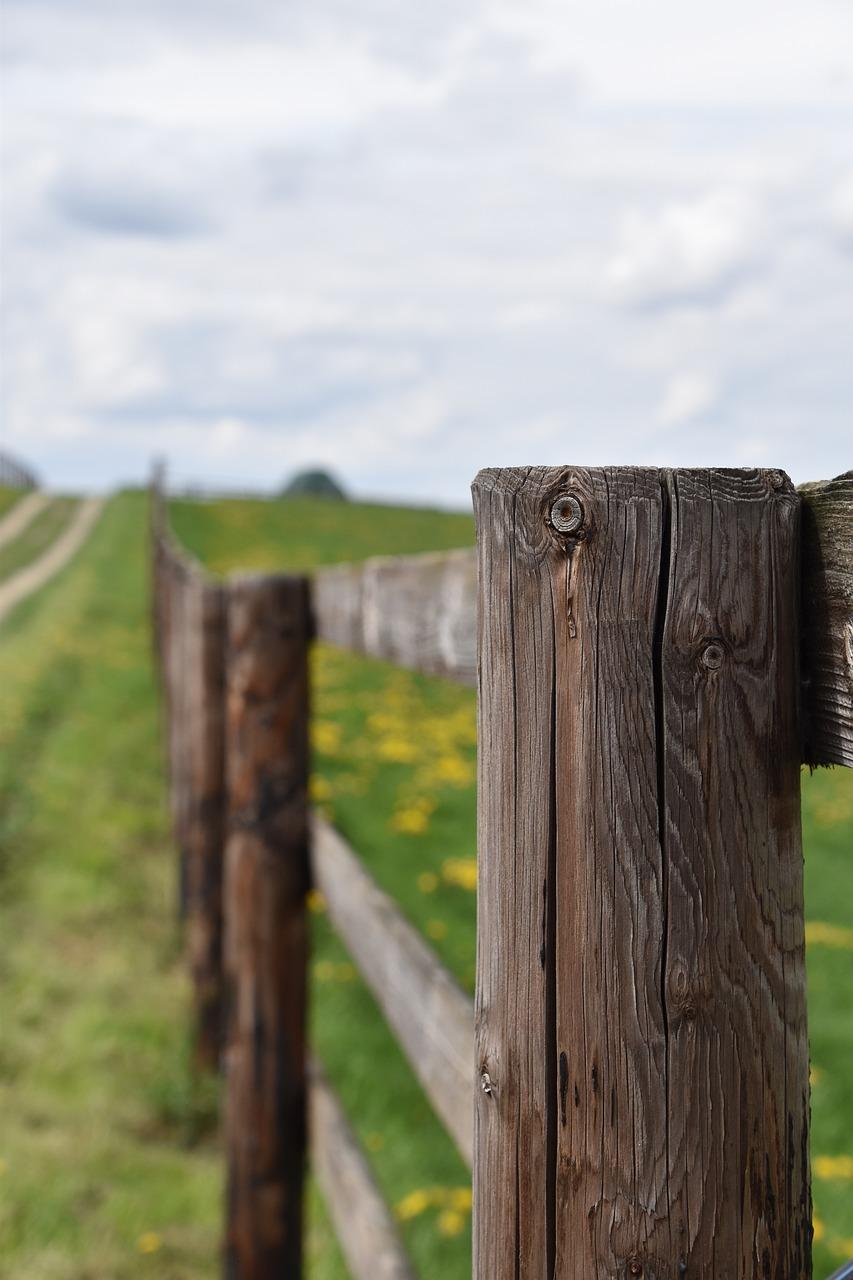 3. 木材防变形技术