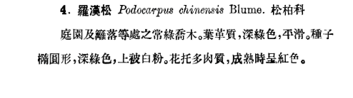 裸子植物 知乎 裸子植物 知乎