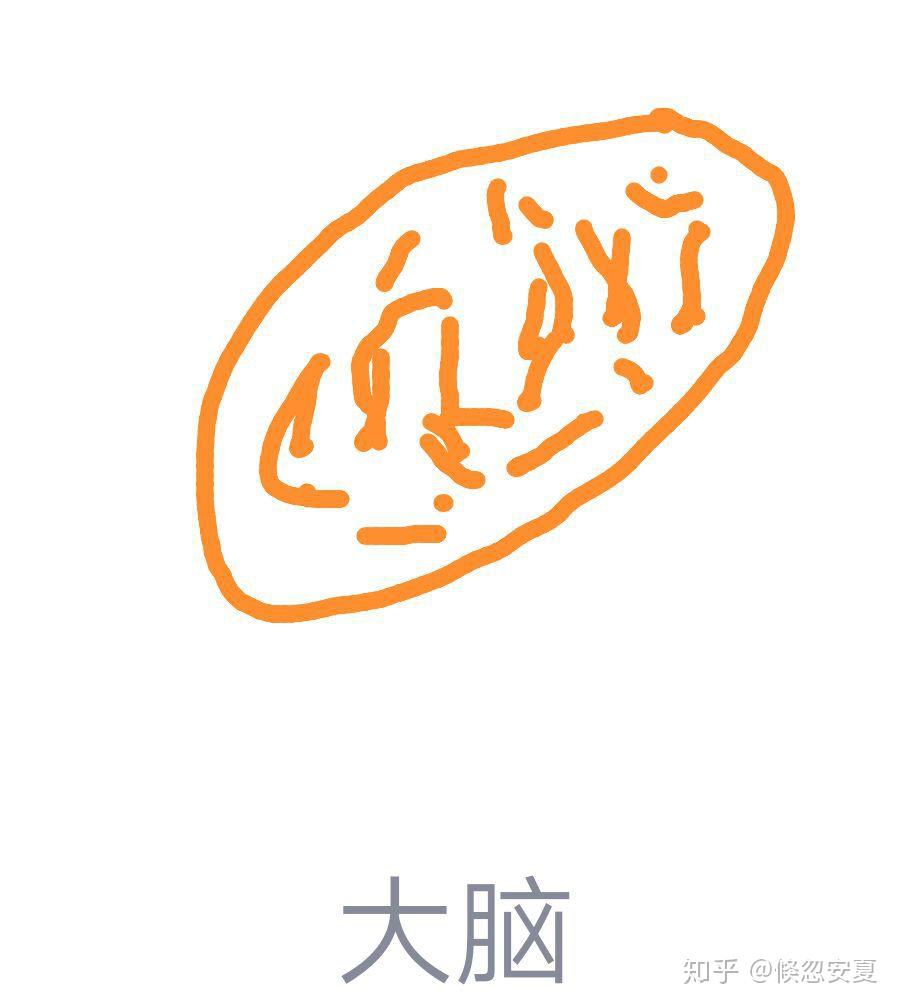 qq红包大脑怎么画