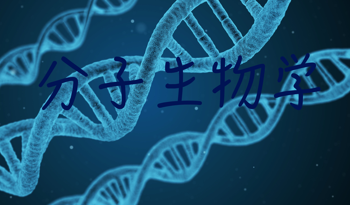 分子生物学」提纲学习笔记知识总结- 知乎