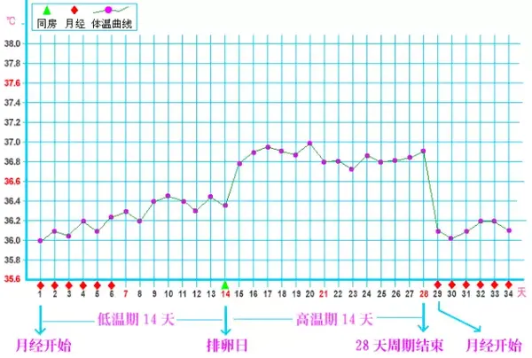 量体温 就能监测排卵 知乎