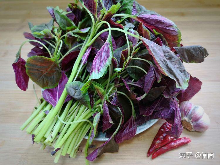 1红:红苋菜在我们当地也叫红汗菜,当然了"红米菜"小米菜"恒菜