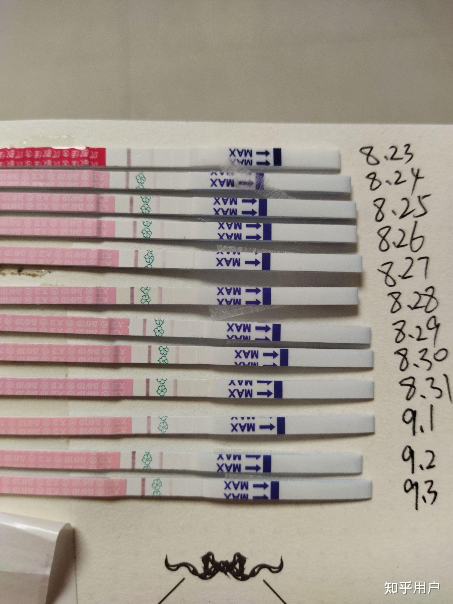 大卫排卵试纸强阳,该怎样安排同房? - 知乎