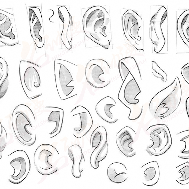 怎么画动漫人物的耳朵? - 知乎
