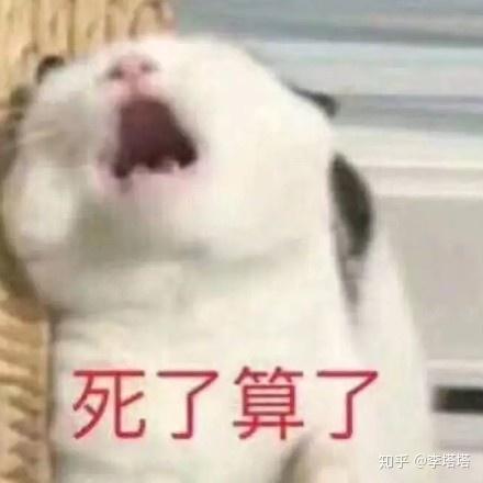 啥也不会的表情包 v2-b5528e0ac5aa788d3e054f77fb4abec7_r.jpg