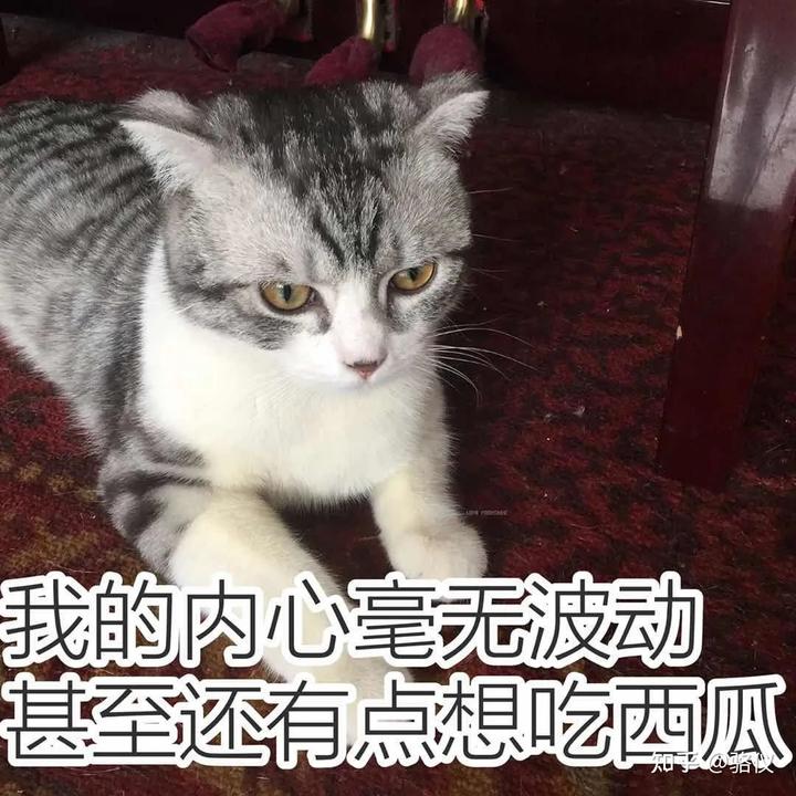 来大姨妈了去潜水会不会招来鲨鱼? 26 v2 b559df7ceb8e21dca7296039d374850b 720w