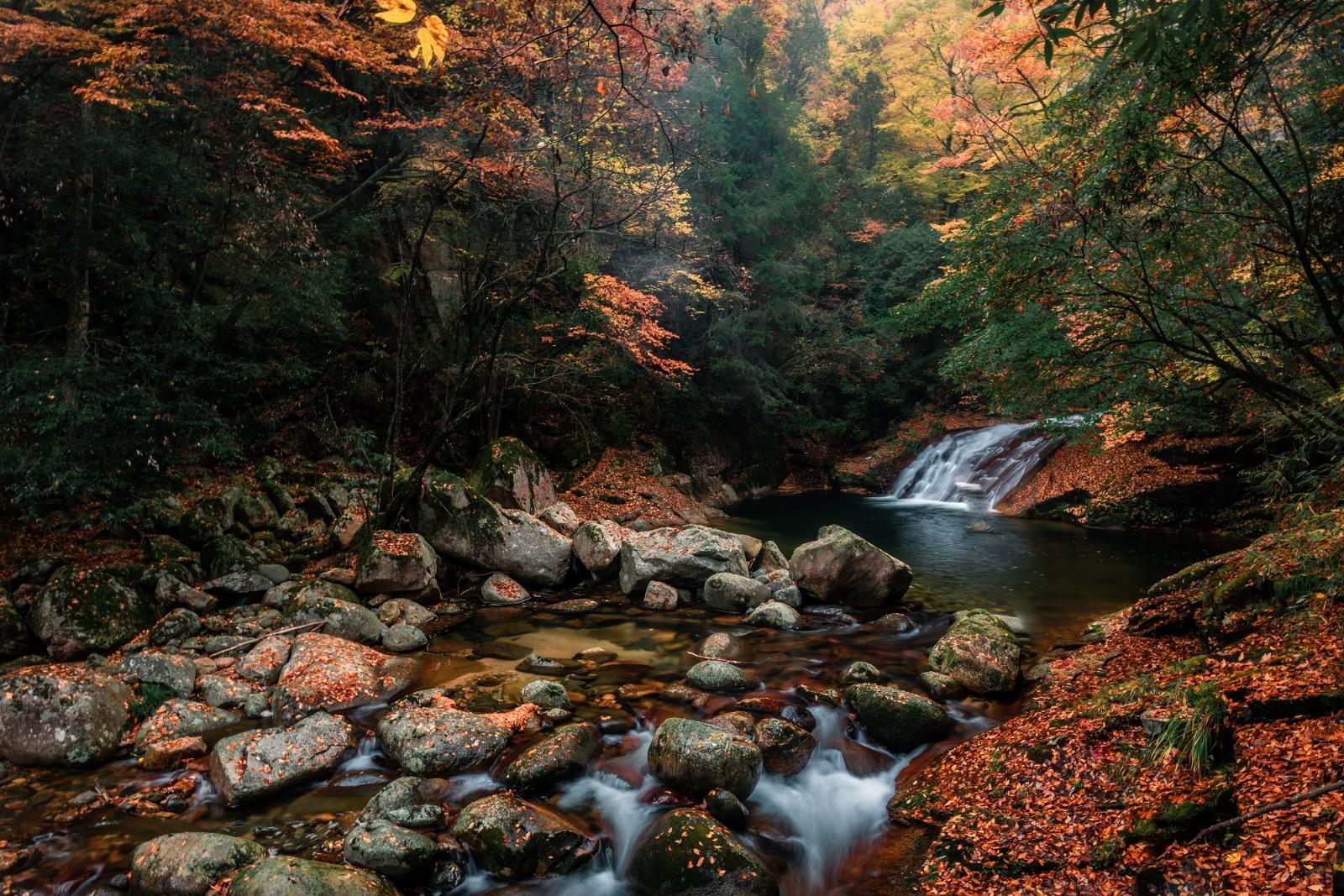 光雾山赏秋最全指南!带你领略“中国红叶第一山”的红叶盛宴