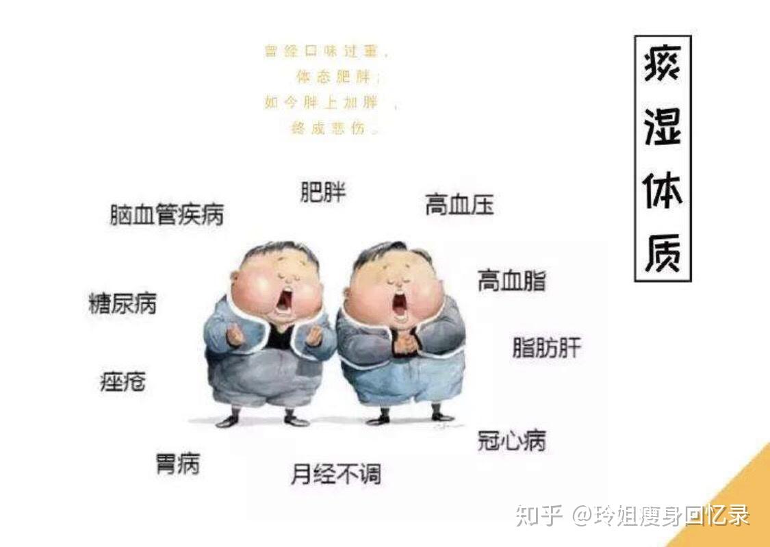 减肥系列之-如何解决痰湿型体质 - 知乎
