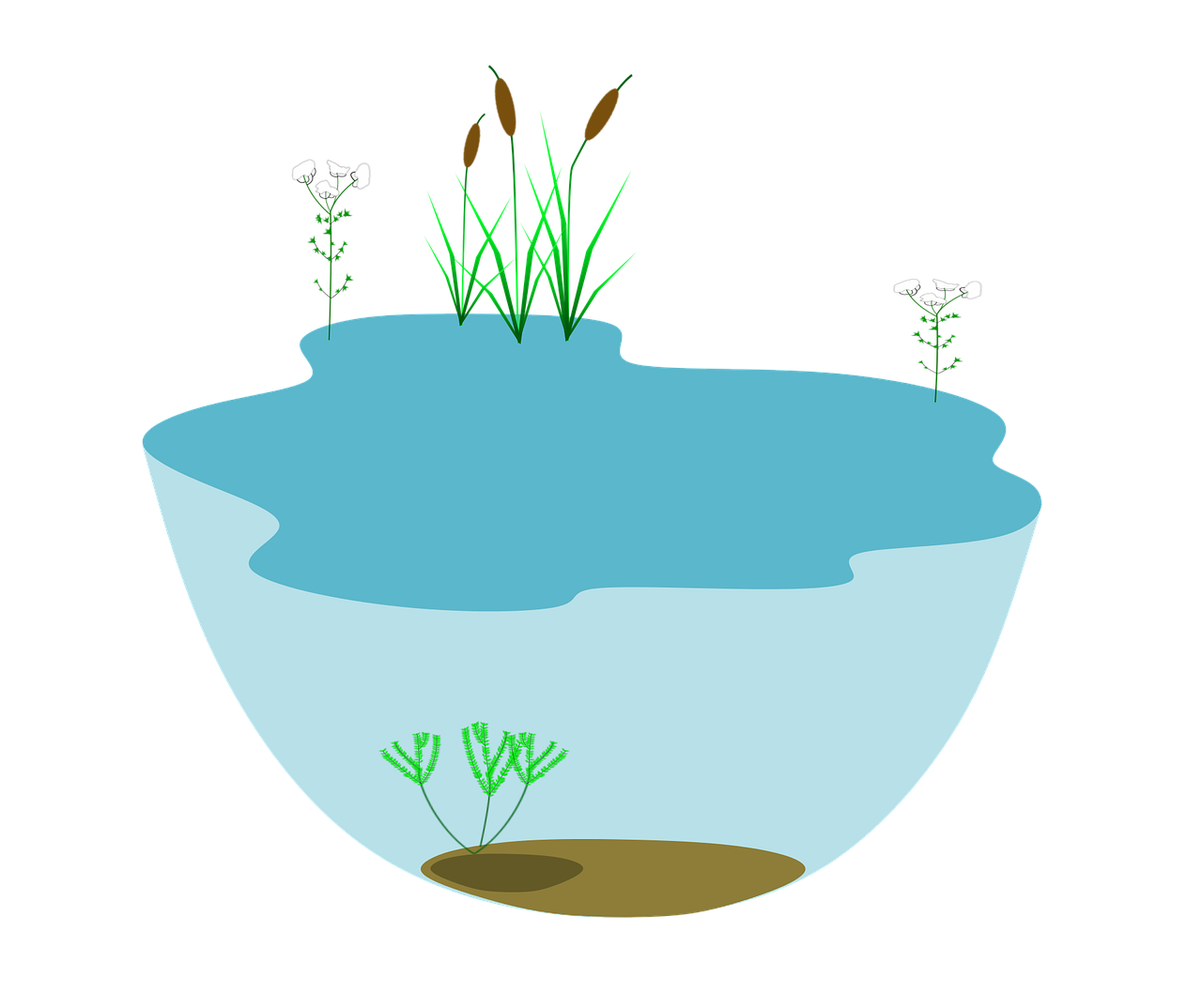 5. 江南水乡水质