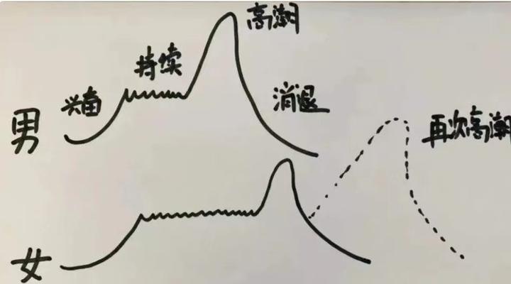 性生理反应过程是怎样的? - 知乎