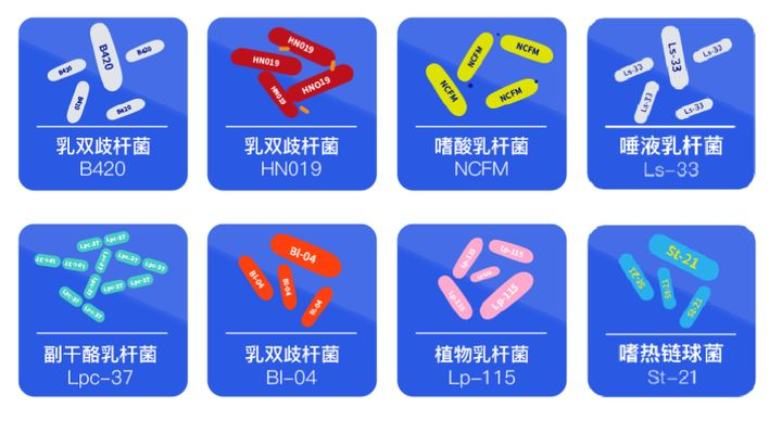 益生菌效果怎样男生真的可以养出易瘦体质吗