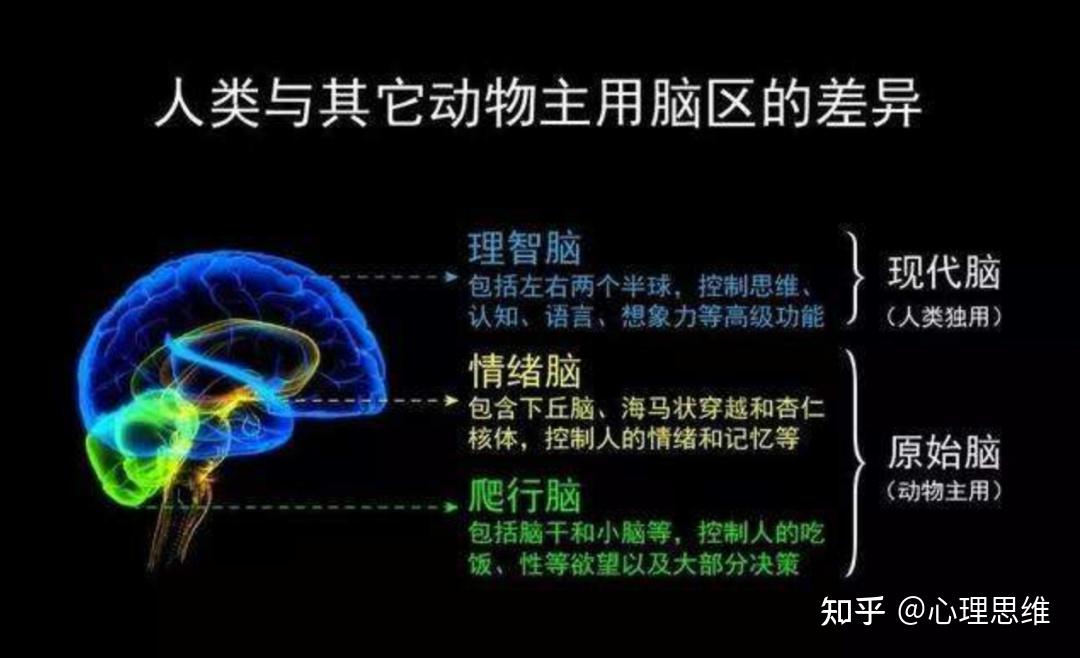 注意力集中这7大好处助益孩子一生，家长们都该知道！ - 知乎