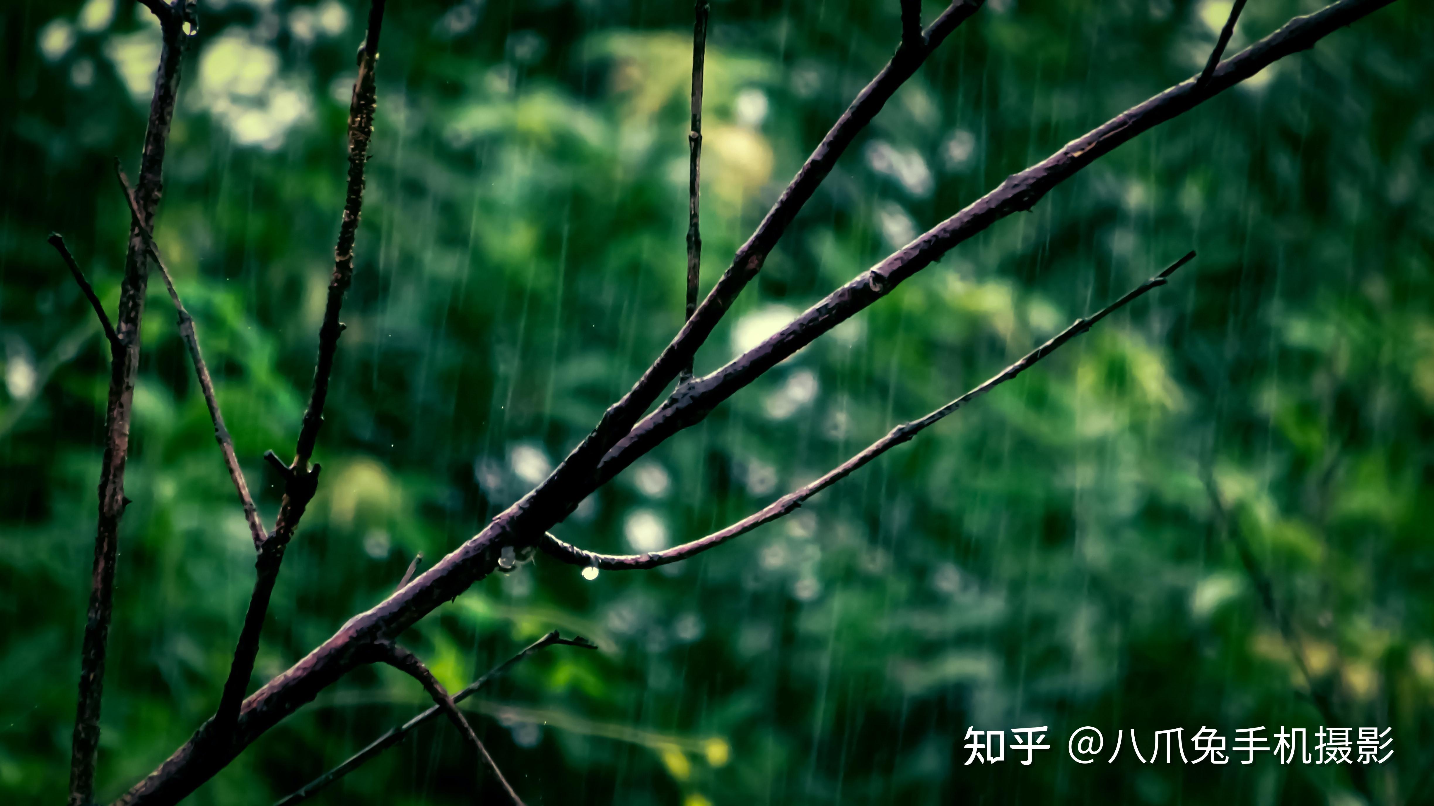 手机摄影 你没看过快门速度下的雨天 知乎 