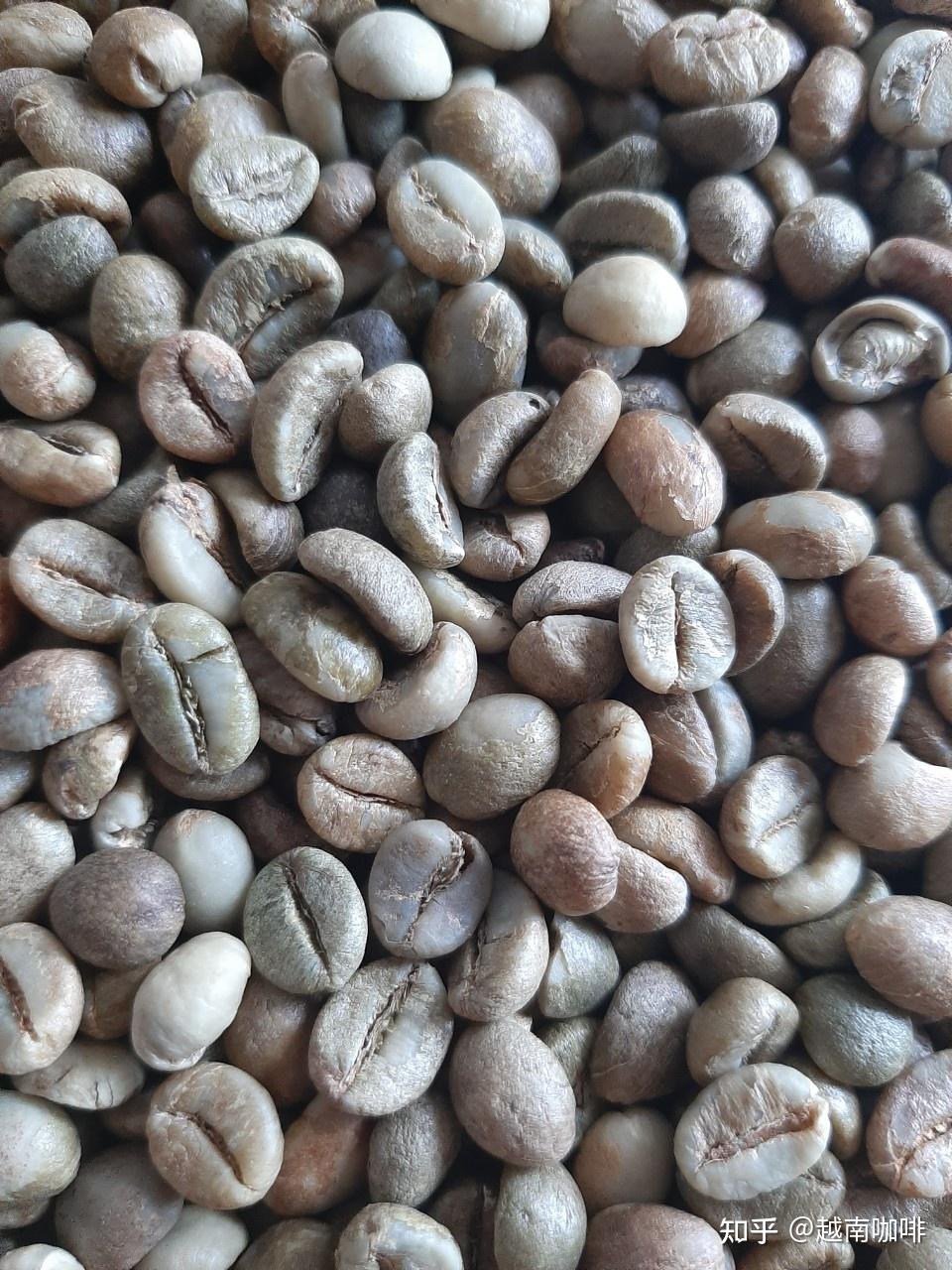 越南咖啡和5个流行的速溶咖啡品牌都喜欢在越南。 - 知乎