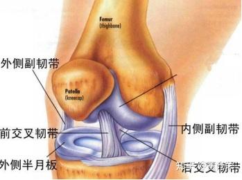 膝关节常见损伤 髌骨下沉 髌骨软骨磨损 知乎