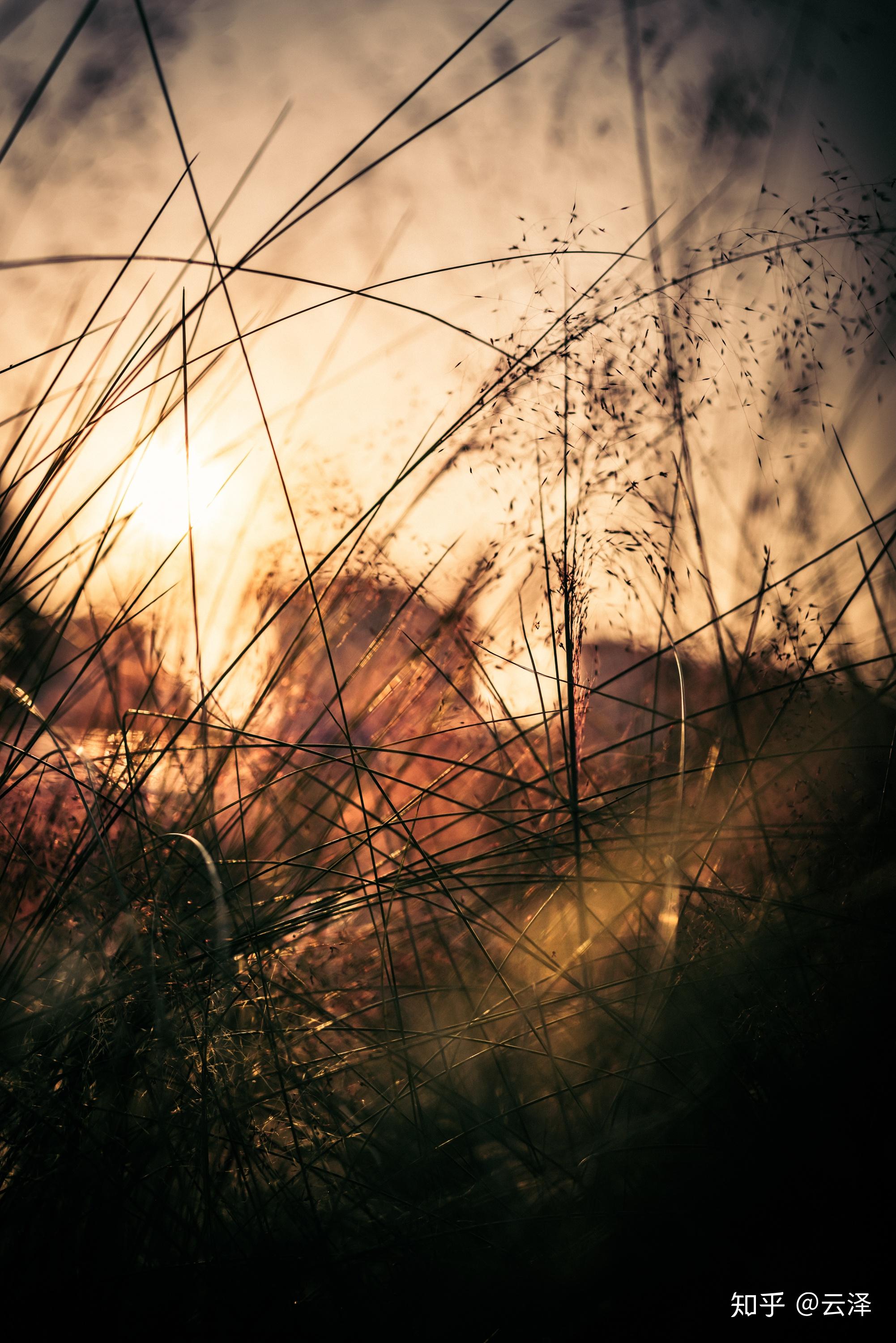 在你的摄影生涯里,用50mm定焦镜头拍出过哪些满意的作品? - 知乎