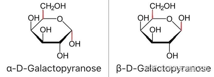 为什么半乳糖的α和β两个构型是这样? 