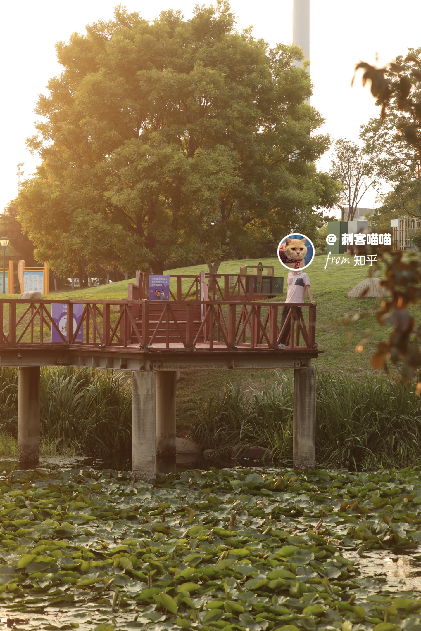 反映了大众怎样的心理? - 知乎