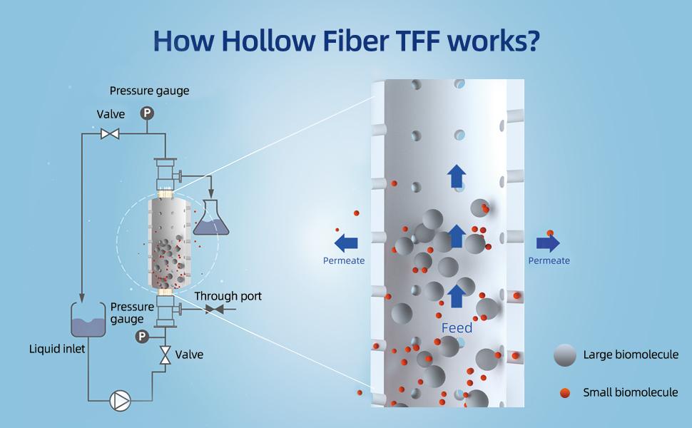 Tff Using Nor 什么是中空纤维膜,在过滤中的应用和优势有哪些? - 知乎