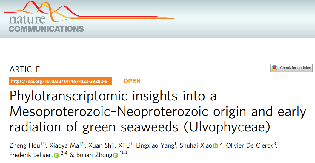 nature commun 南京师范大学钟伯坚团队揭示绿色海