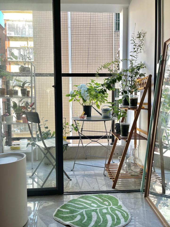 深圳租房终极指南——帮你省下1个月工资! - 知乎