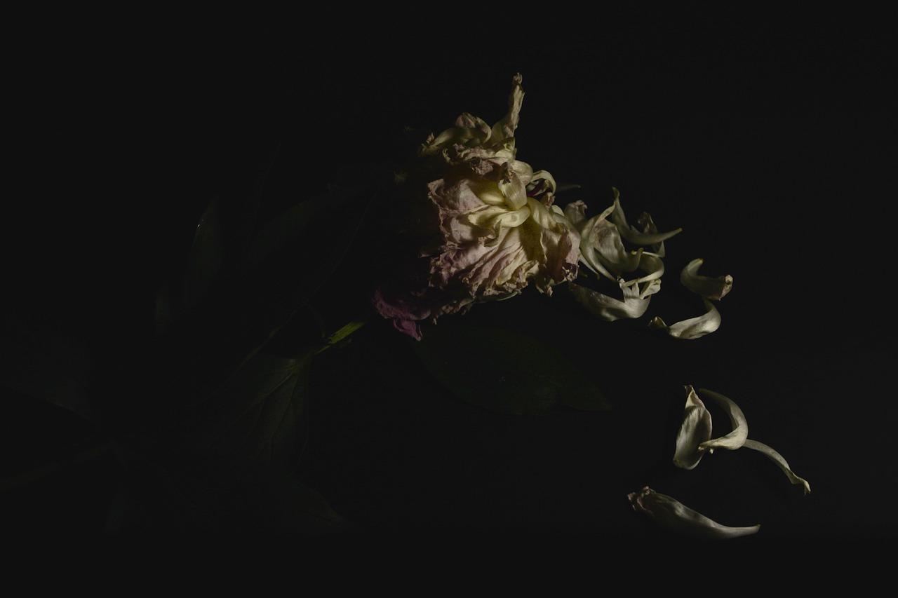 4. 花器搭配指南