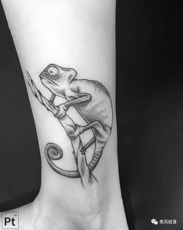 纹身素材蜥蜴纹身图案