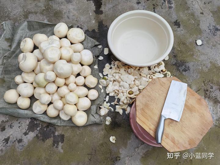 人，可以废物到什么程度？
