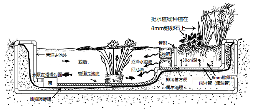 沼泽过滤图解精华贴图片