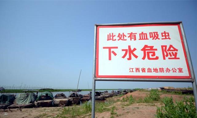 在解放初期,血吸虫病患者估计有千余万人,是我国危害最严重的寄生虫