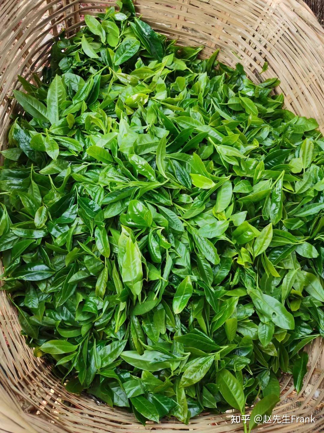 倚邦绝美大黑山