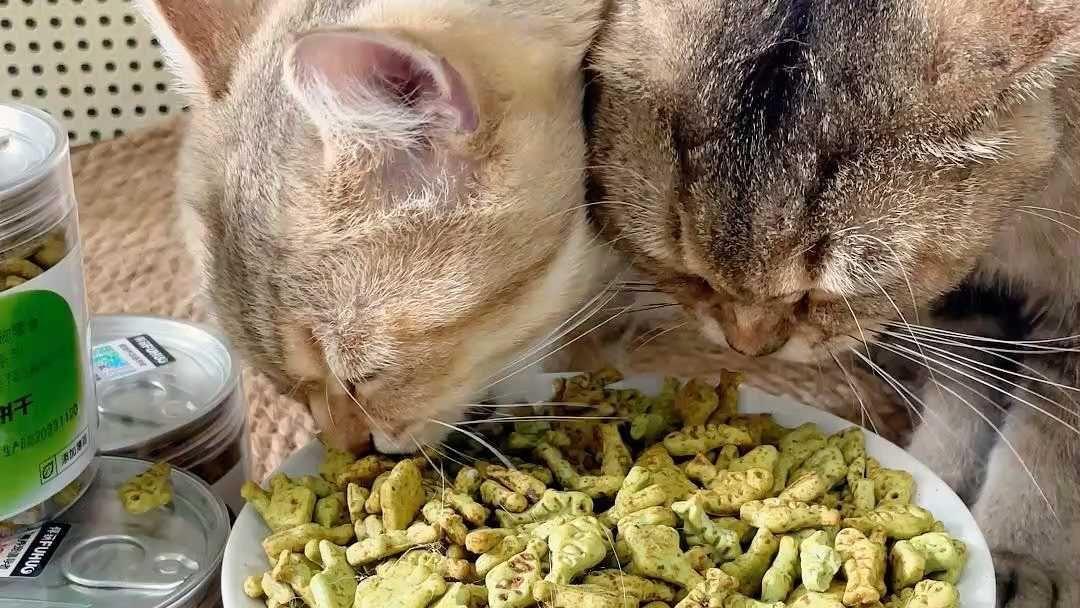 猫薄荷饼干图片